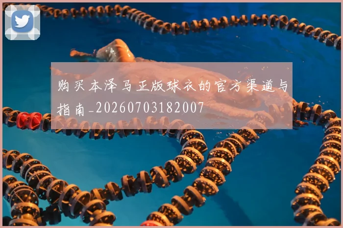 购买本泽马正版球衣的官方渠道与指南_20260703182007