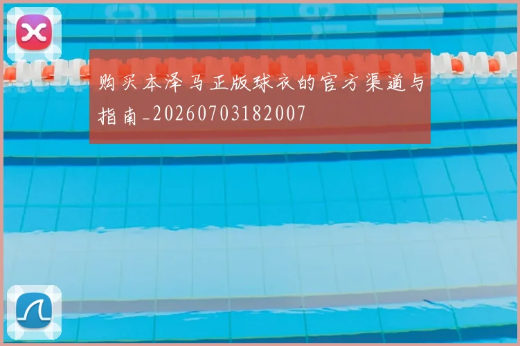 购买本泽马正版球衣的官方渠道与指南_20260703182007