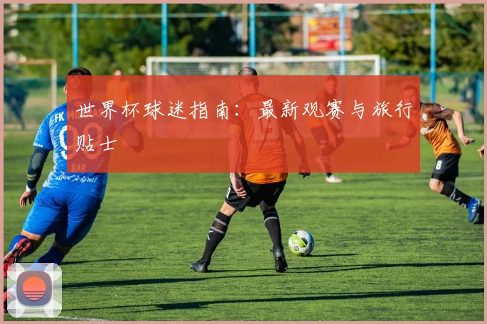 世界杯球迷指南：最新观赛与旅行贴士